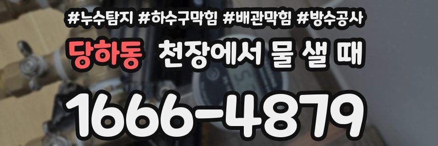 당하동 천장에서 물 샐 때