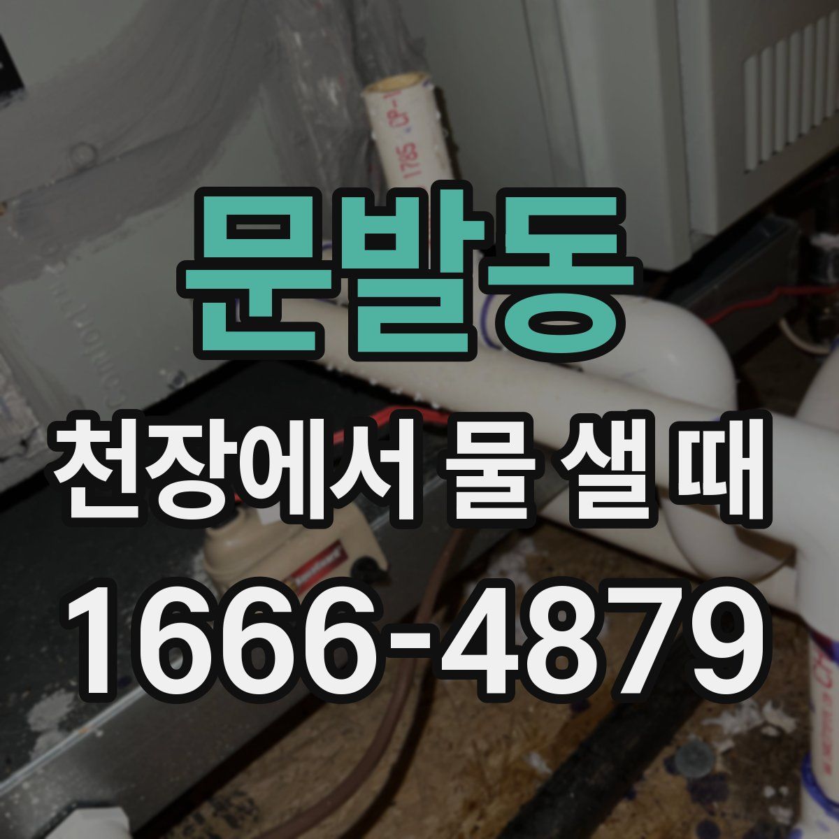 문발동 천장에서 물 샐 때