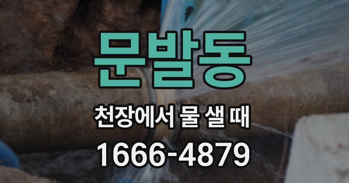 문발동 천장에서 물 샐 때