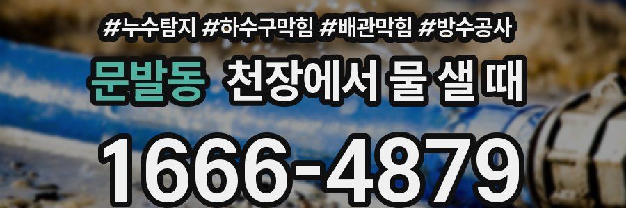 문발동 천장에서 물 샐 때