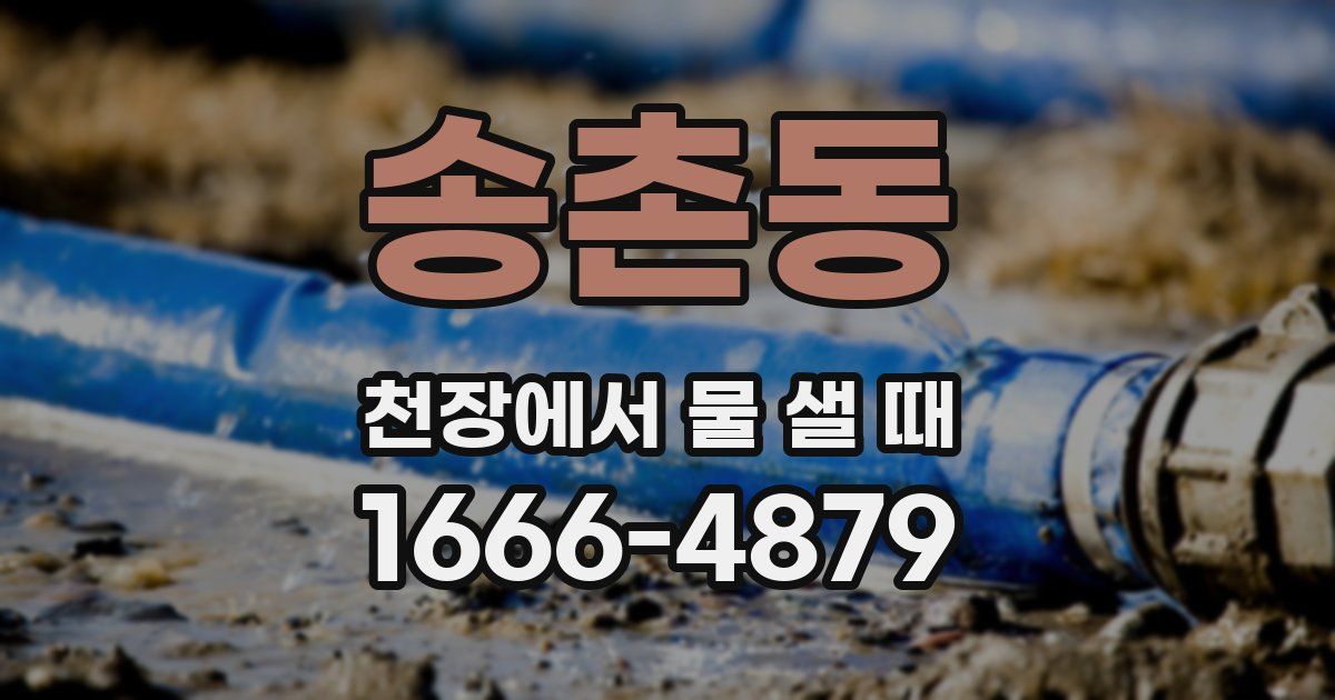 송촌동 천장에서 물 샐 때