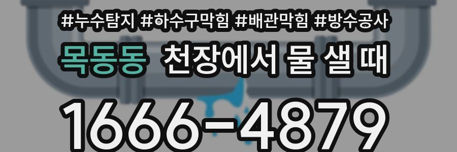 목동동 천장에서 물 샐 때