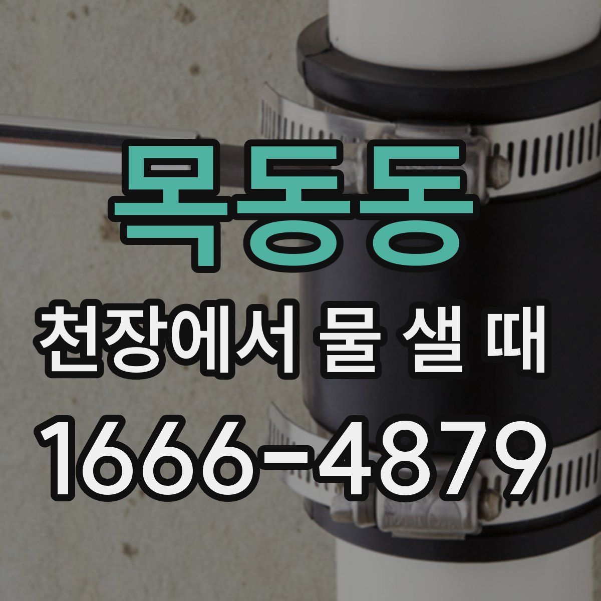 목동동 천장에서 물 샐 때