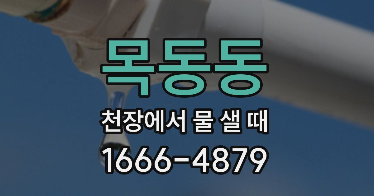 목동동 천장에서 물 샐 때