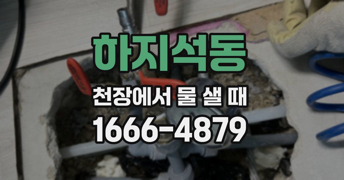 하지석동 천장에서 물 샐 때