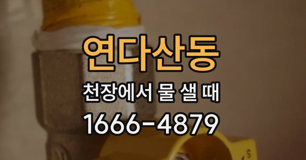 연다산동 천장에서 물 샐 때