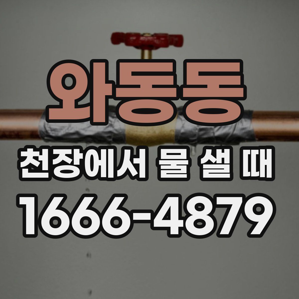 와동동 천장에서 물 샐 때