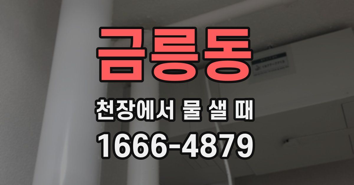 금릉동 천장에서 물 샐 때