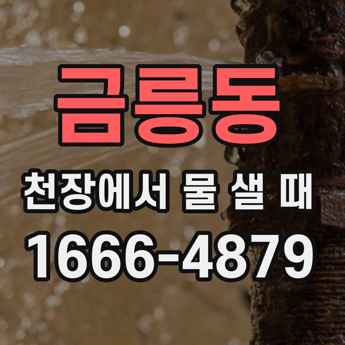 금릉동 천장에서 물 샐 때
