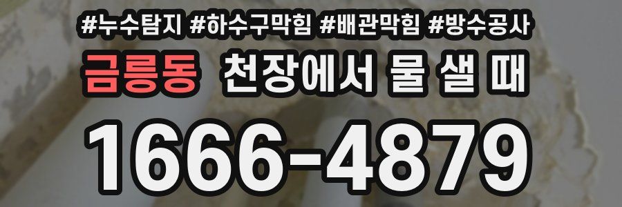 금릉동 천장에서 물 샐 때