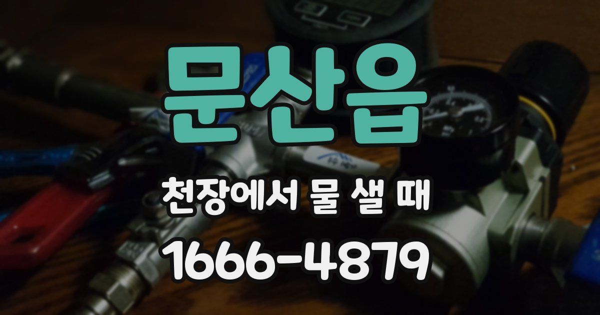 문산읍 천장에서 물 샐 때