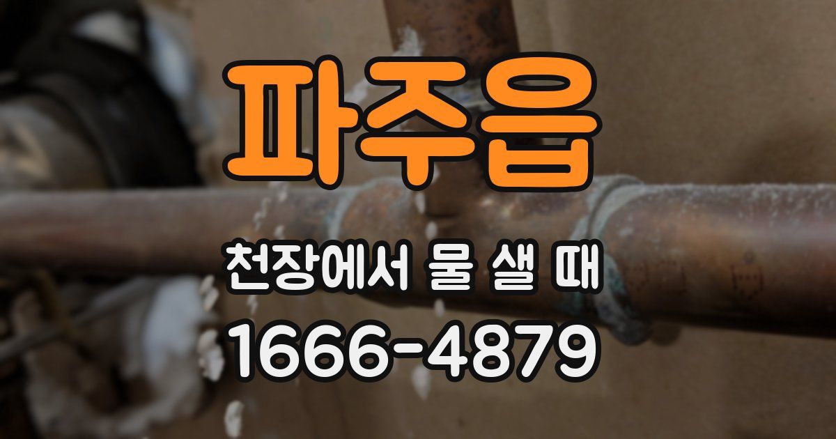 파주읍 천장에서 물 샐 때