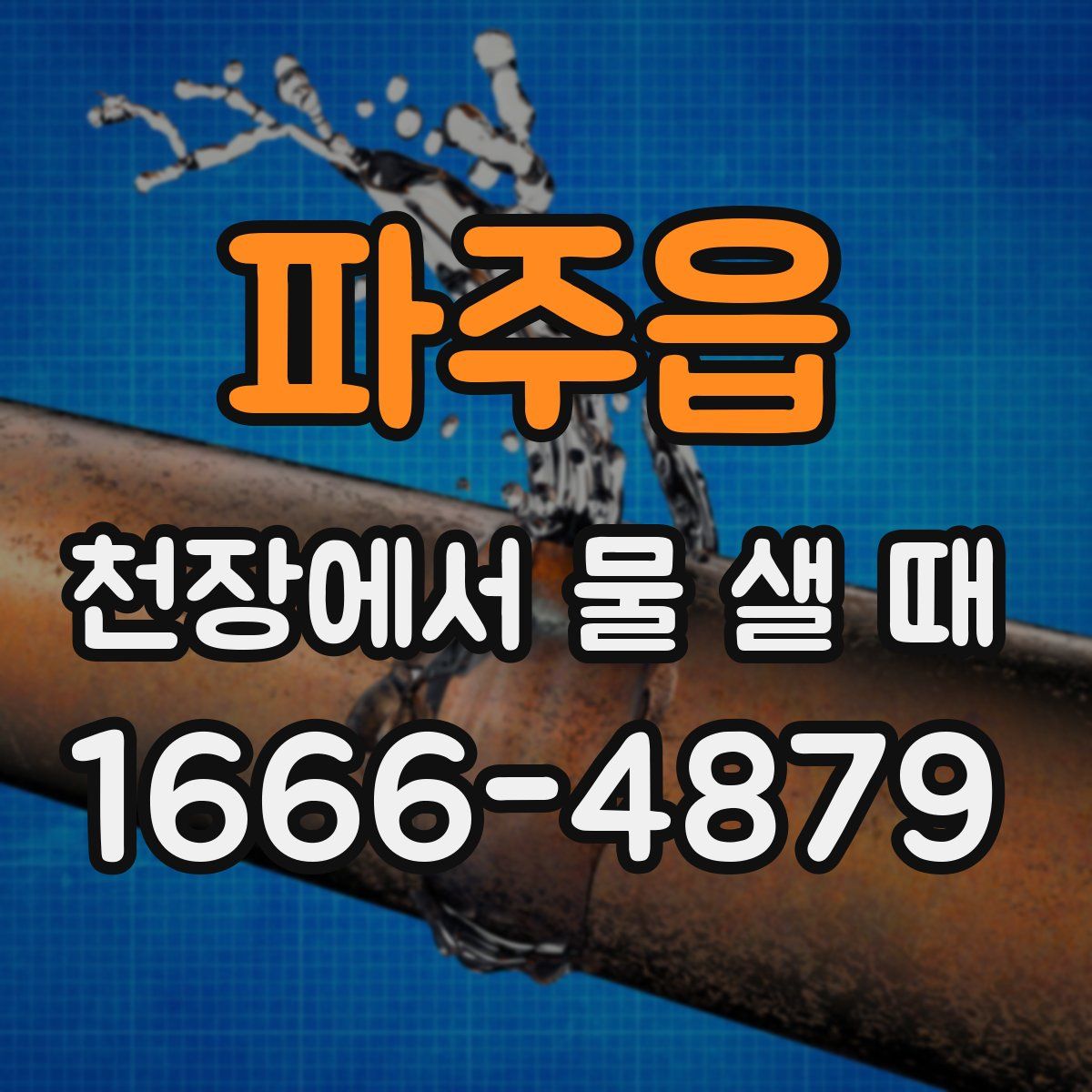 파주읍 천장에서 물 샐 때