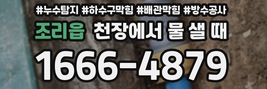 조리읍 천장에서 물 샐 때