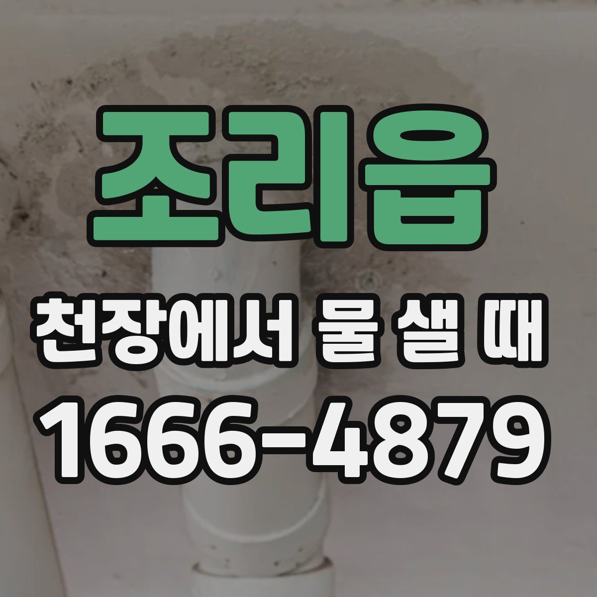 조리읍 천장에서 물 샐 때