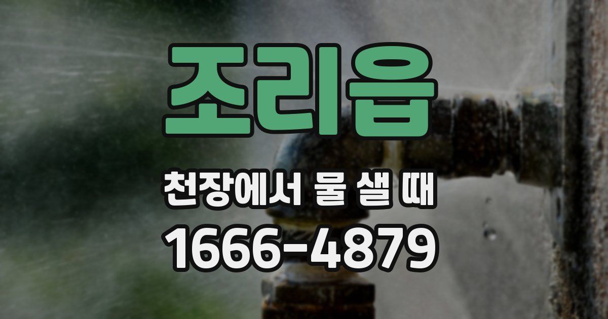 조리읍 천장에서 물 샐 때