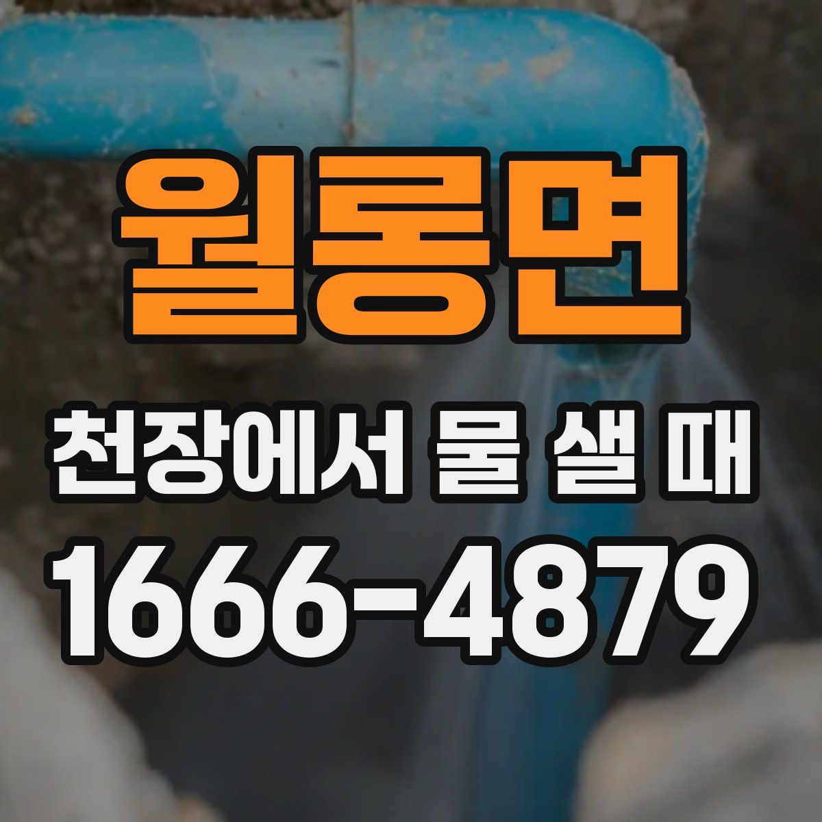 월롱면 천장에서 물 샐 때