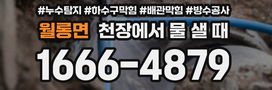 월롱면 천장에서 물 샐 때