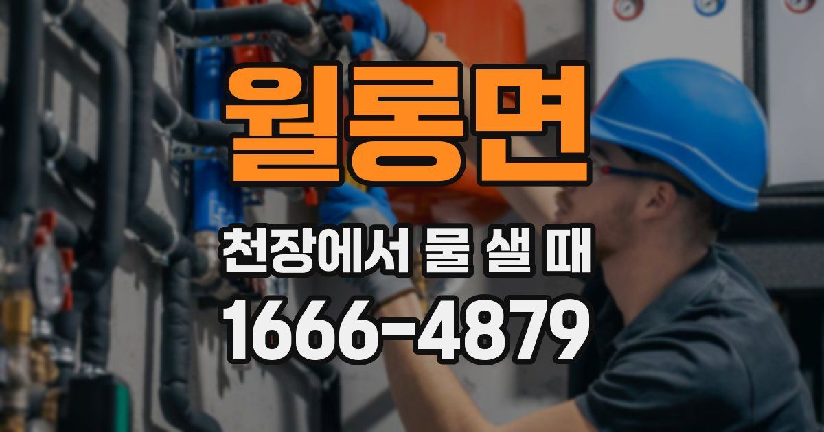 월롱면 천장에서 물 샐 때