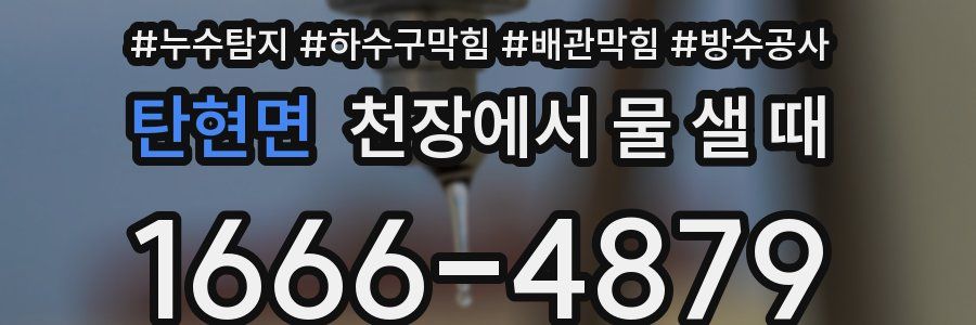 탄현면 천장에서 물 샐 때