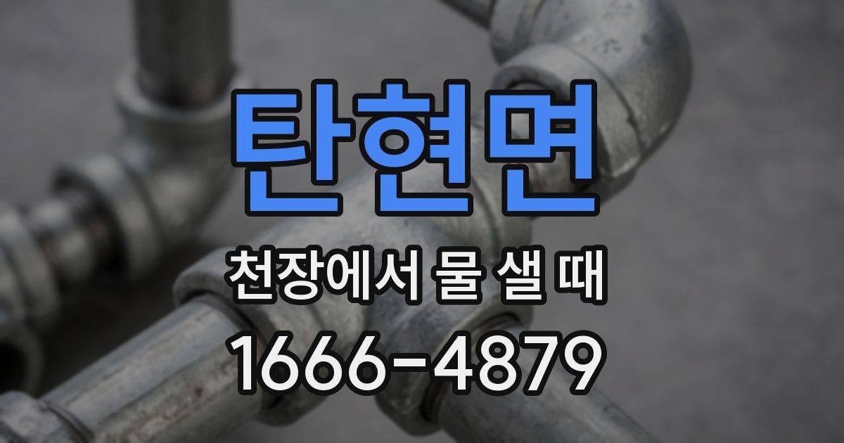 탄현면 천장에서 물 샐 때