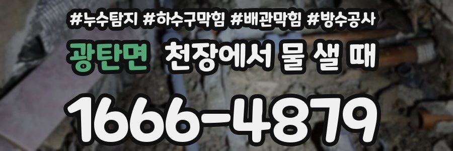 광탄면 천장에서 물 샐 때