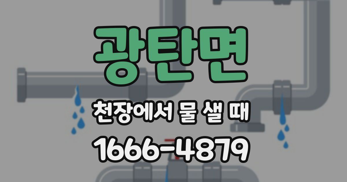 광탄면 천장에서 물 샐 때
