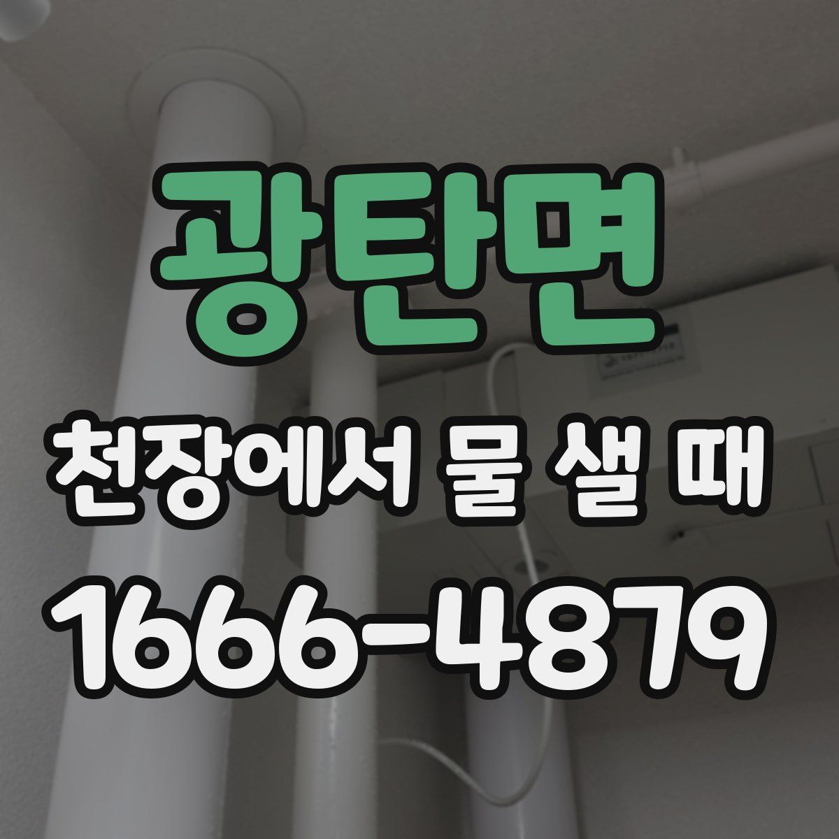 광탄면 천장에서 물 샐 때