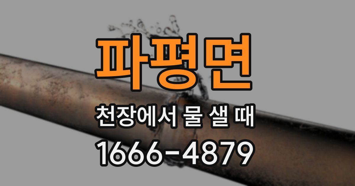 파평면 천장에서 물 샐 때