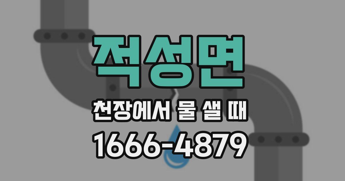 적성면 천장에서 물 샐 때