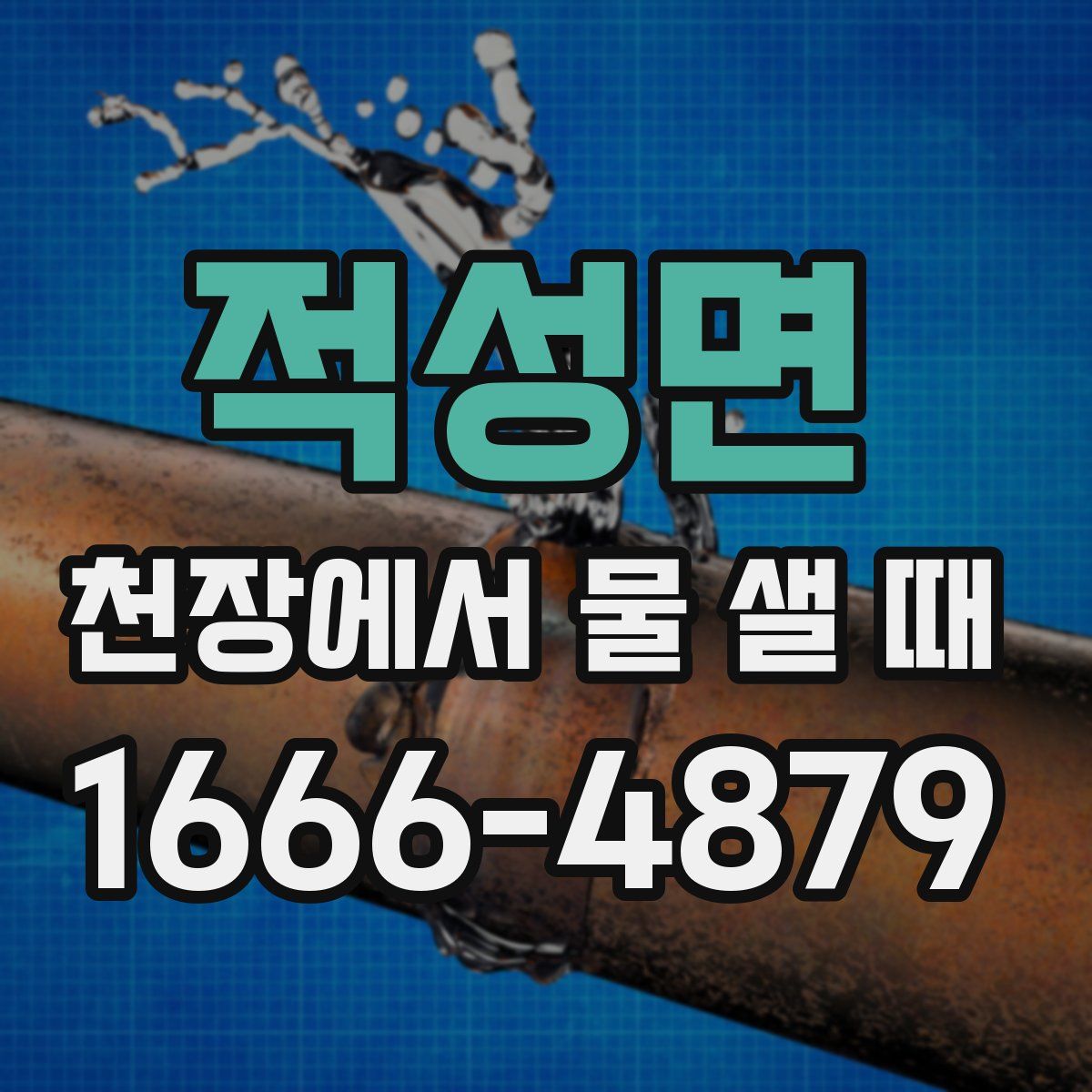 적성면 천장에서 물 샐 때