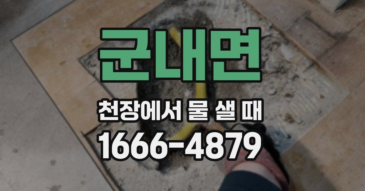 군내면 천장에서 물 샐 때