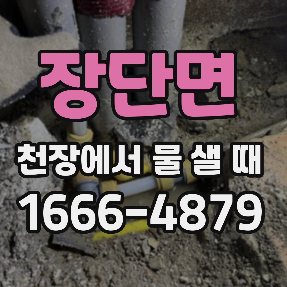 장단면 천장에서 물 샐 때
