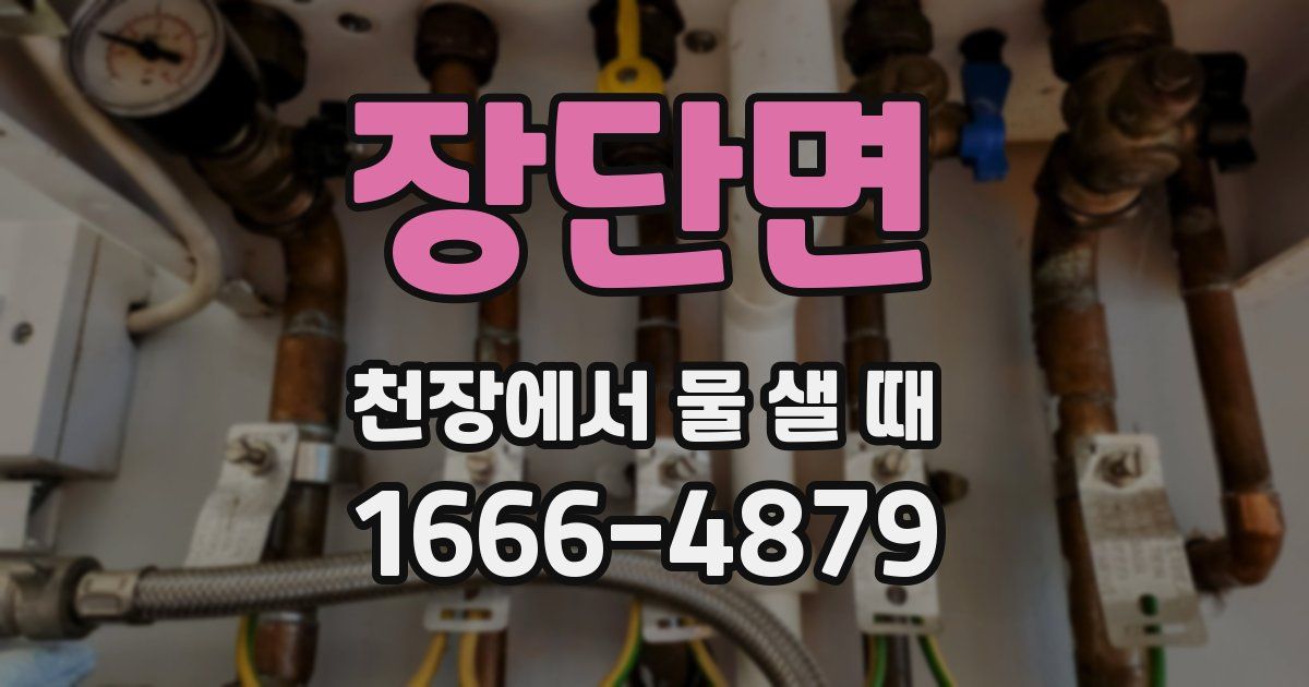 장단면 천장에서 물 샐 때