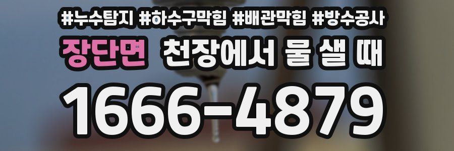 장단면 천장에서 물 샐 때