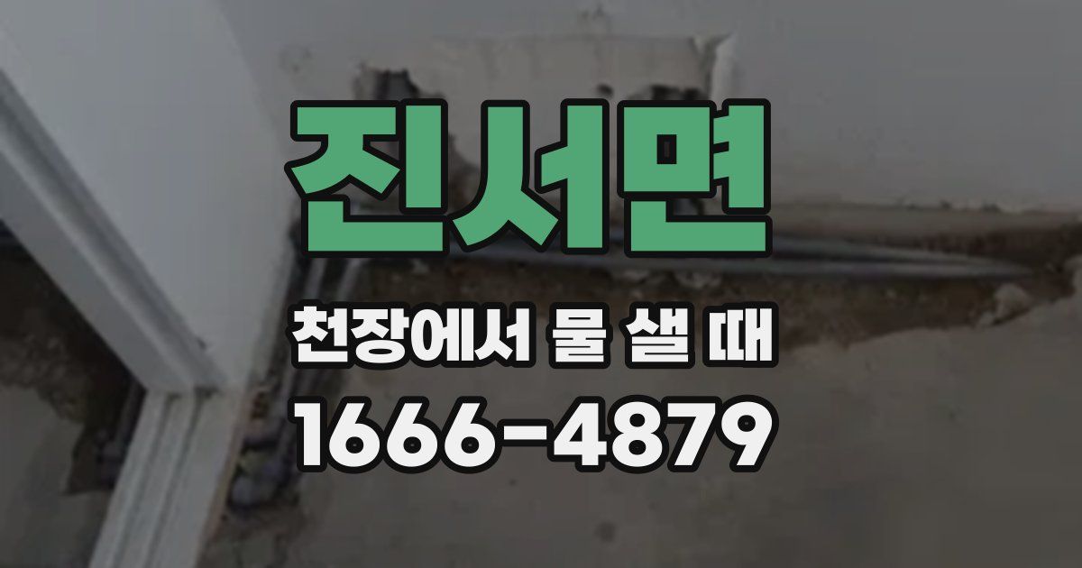 진서면 천장에서 물 샐 때