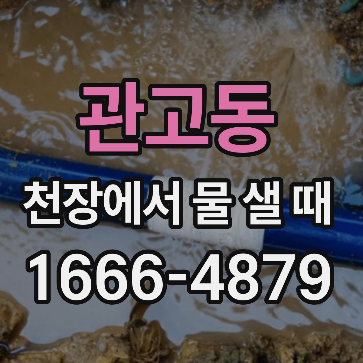 관고동 천장에서 물 샐 때