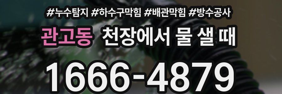 관고동 천장에서 물 샐 때