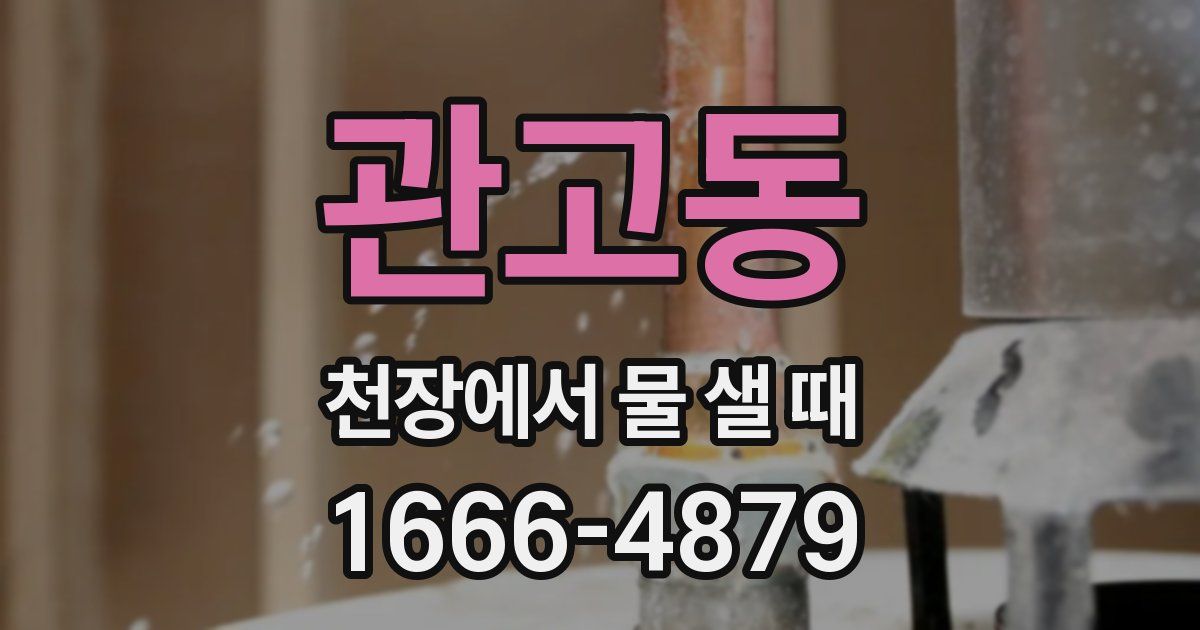 관고동 천장에서 물 샐 때
