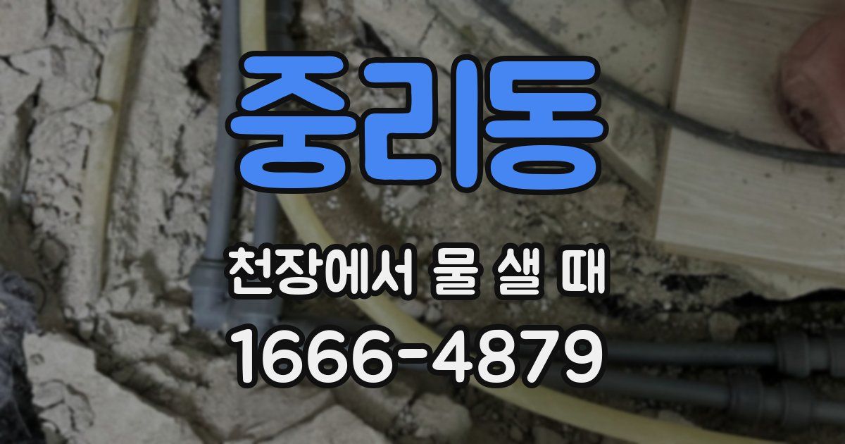 중리동 천장에서 물 샐 때