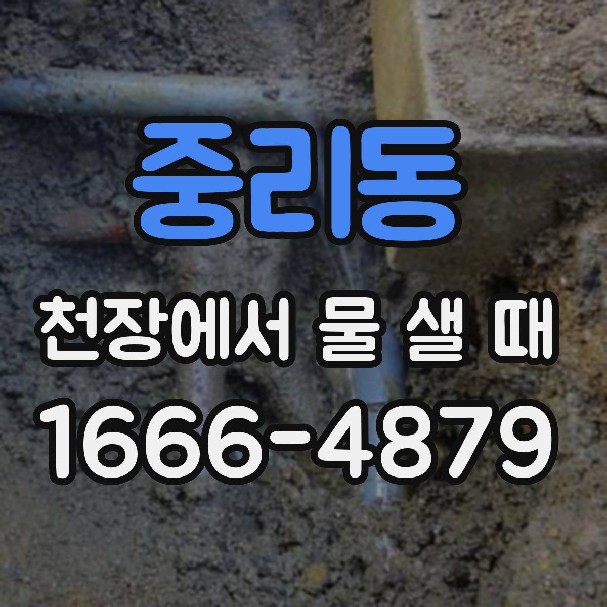 중리동 천장에서 물 샐 때