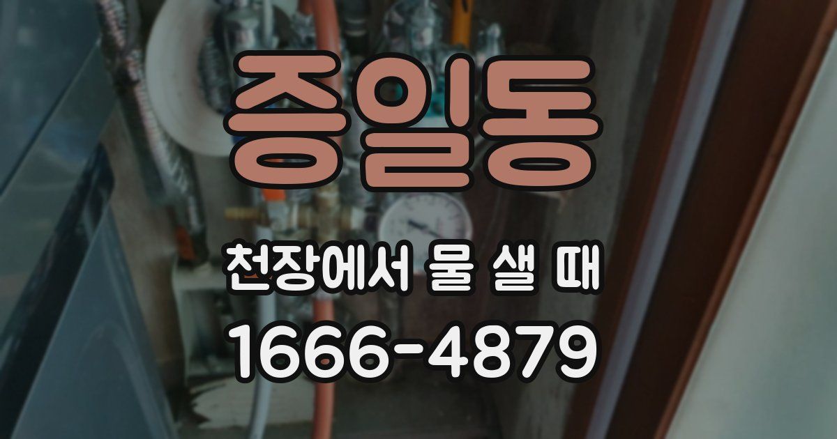 증일동 천장에서 물 샐 때