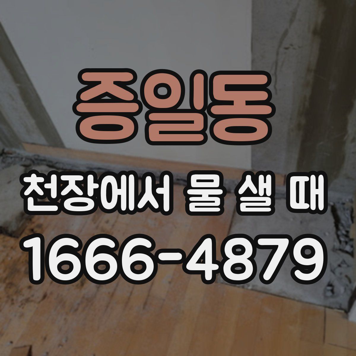 증일동 천장에서 물 샐 때