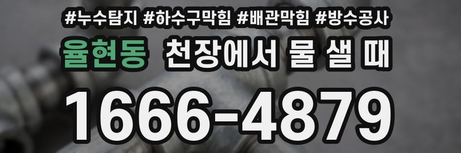 율현동 천장에서 물 샐 때