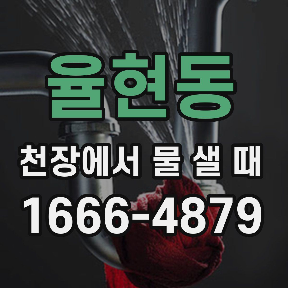 율현동 천장에서 물 샐 때