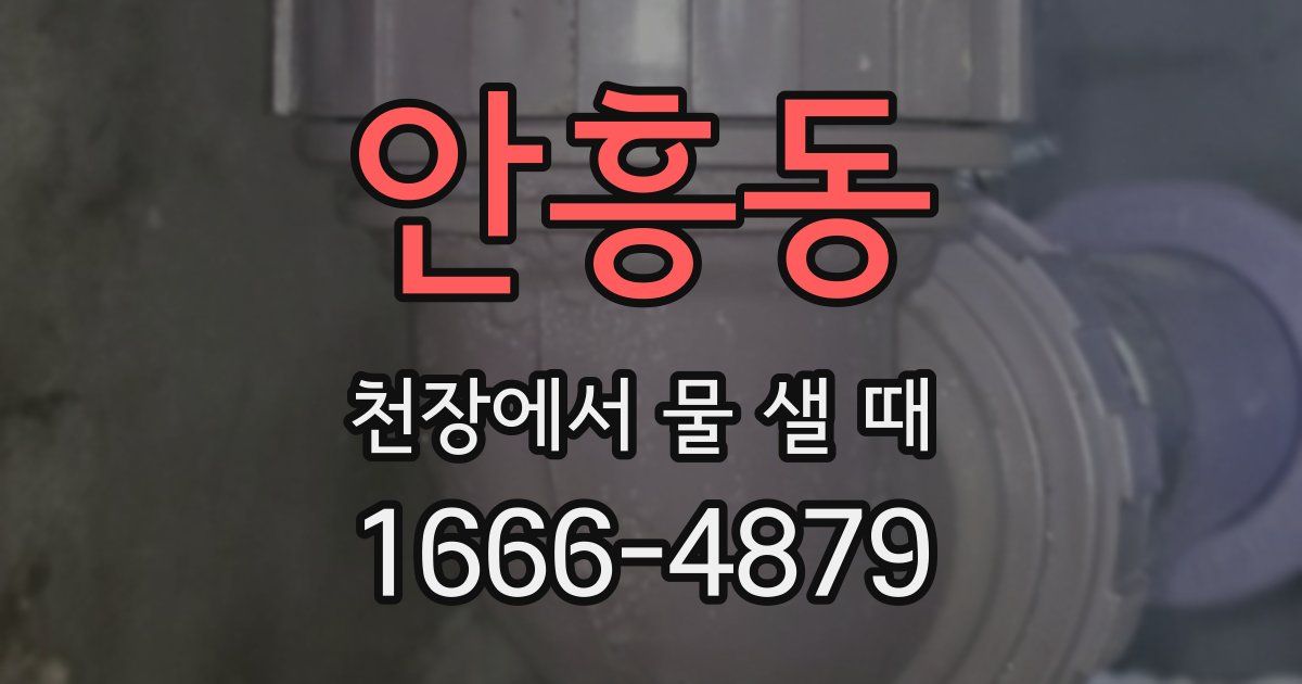안흥동 천장에서 물 샐 때