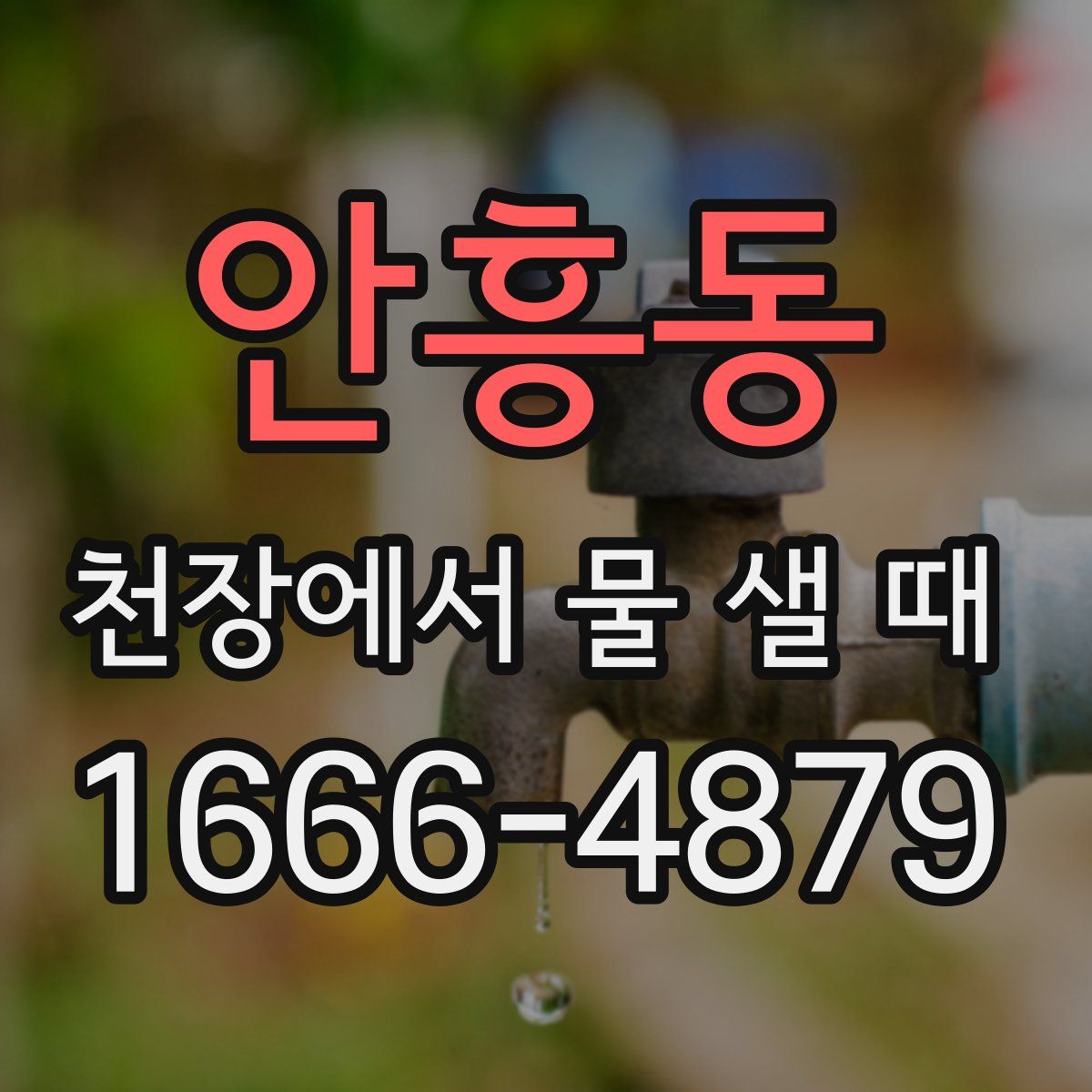 안흥동 천장에서 물 샐 때