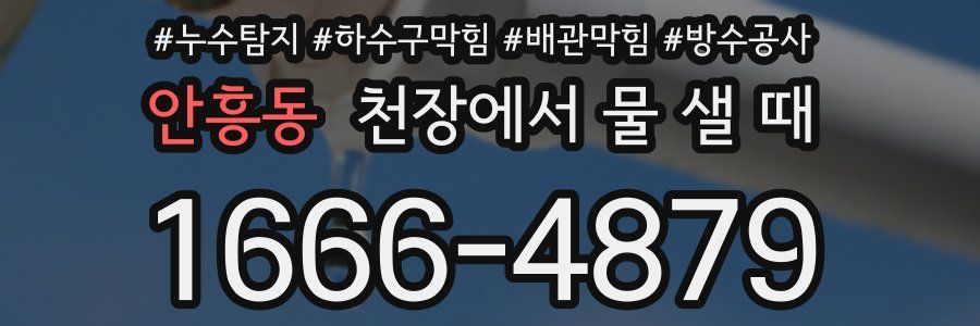 안흥동 천장에서 물 샐 때