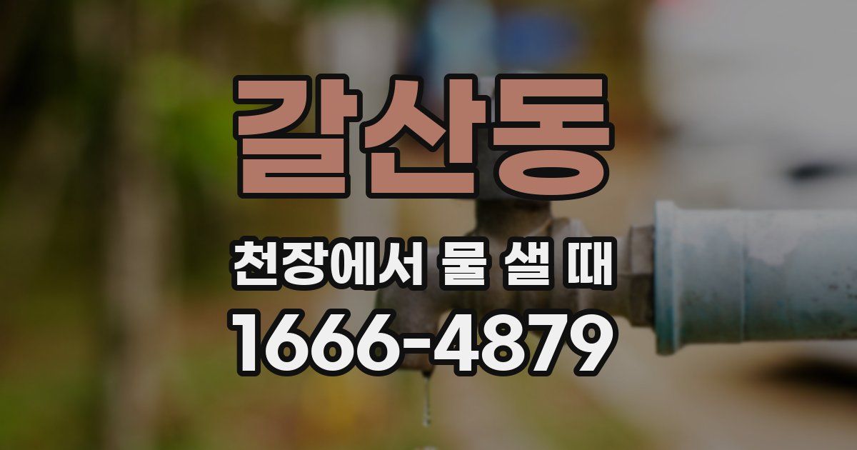 갈산동 천장에서 물 샐 때