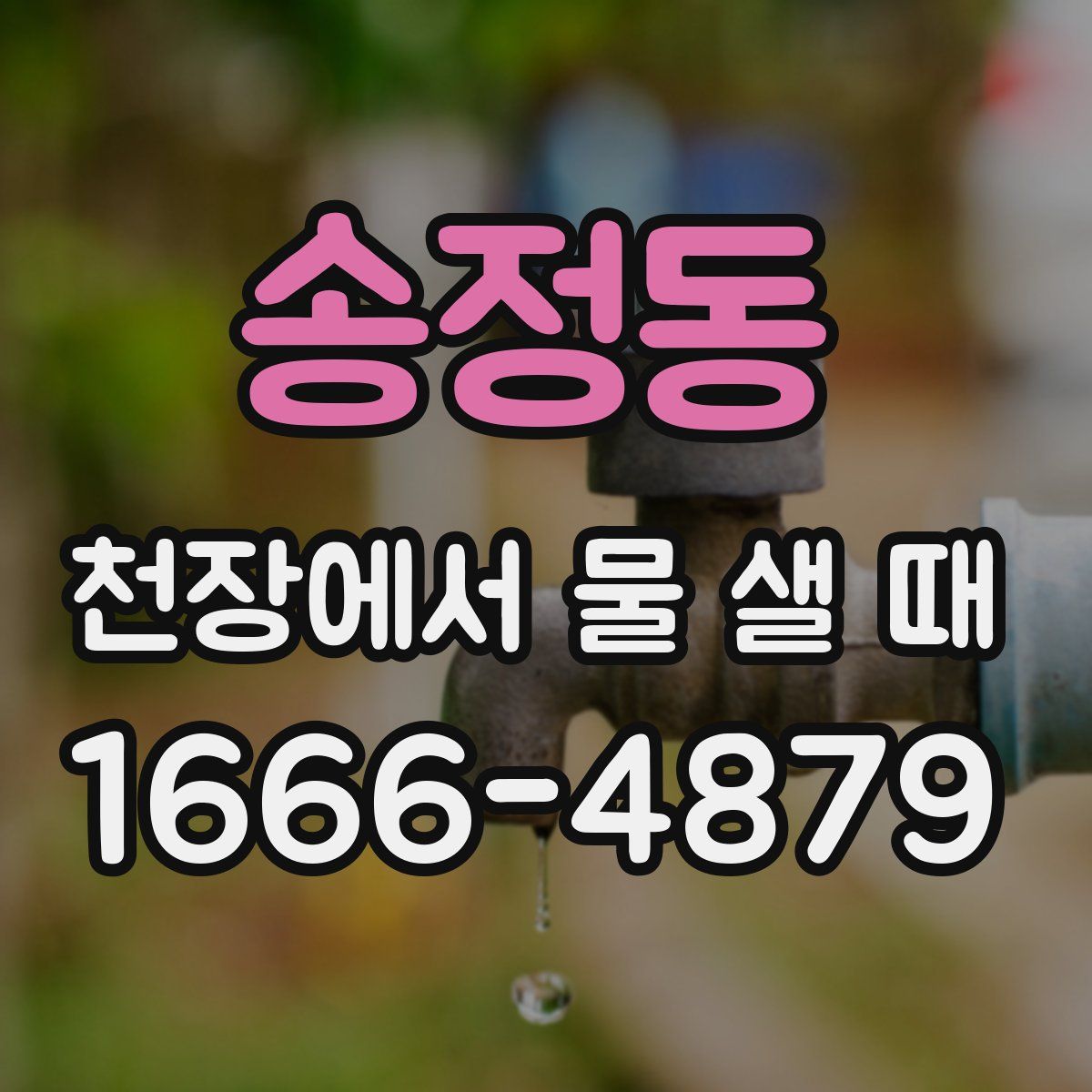 송정동 천장에서 물 샐 때